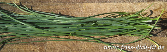 Allium schoenoprasum – Schnittlauch.